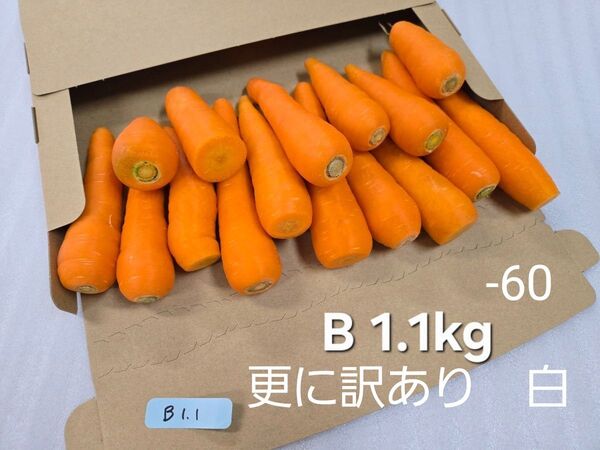 にんじん 1.1kg 更に訳あり 熊本県産