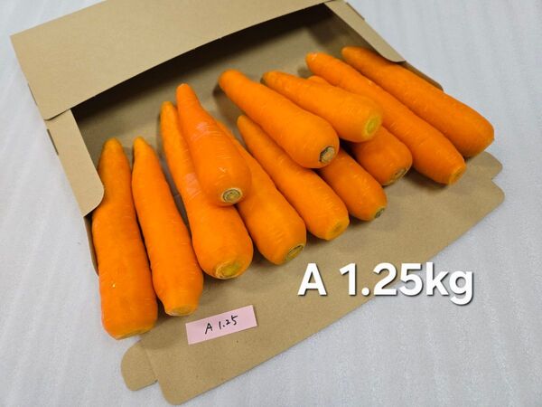 にんじん 1.25kg わけあり 熊本県産