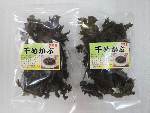 干めかぶ 2袋 熊本県産