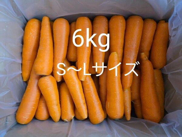 にんじん 6kg わけあり 熊本県産