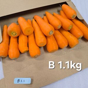 にんじん 1.1kg わけあり 熊本県産