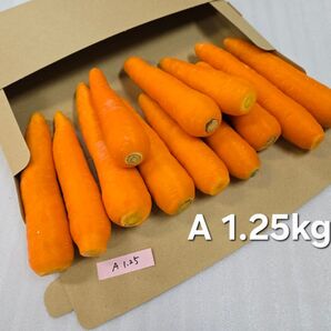 にんじん 1.25kg わけあり 熊本県産
