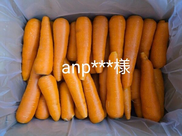 anp***様 にんじん 9kg わけあり 熊本県産