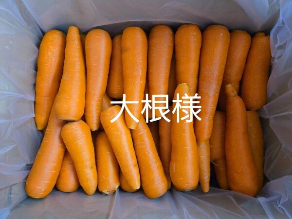 大根様 にんじん 17kg わけあり 熊本県産
