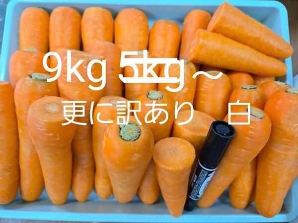 にんじん 9kg 更に訳あり 熊本県産