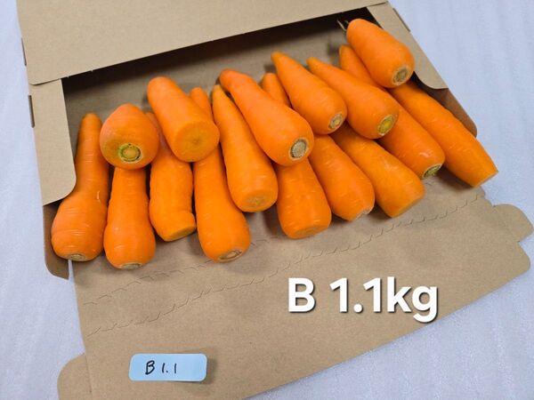 にんじん 1.1kg わけあり 熊本県産