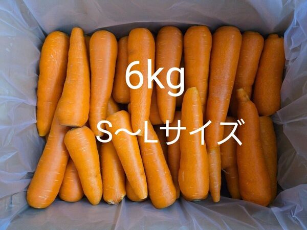 にんじん 6kg わけあり 熊本県産