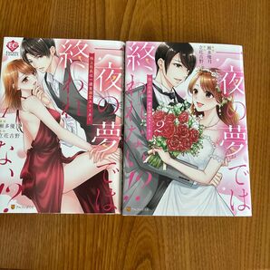 一夜の夢では終われない 全巻セット