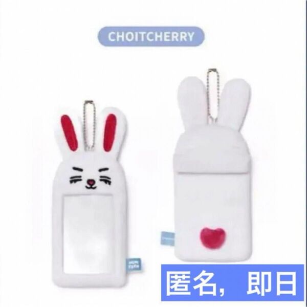 ミニティーン トレカケース フォトカードホルダー エスクプス スンチョル セブチ セブンティーン