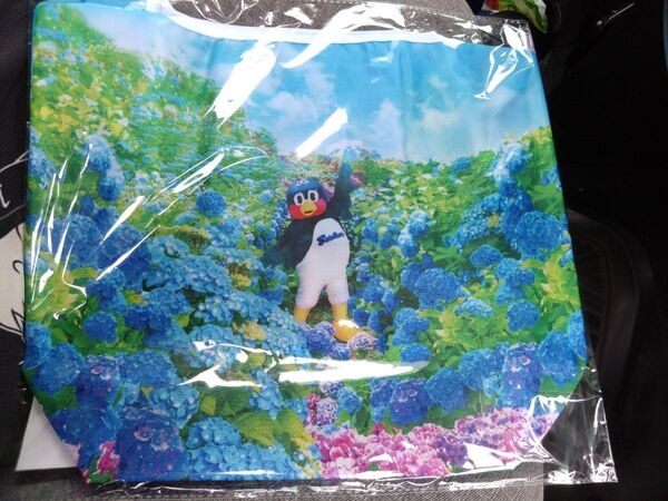 東京ヤクルトスワローズ つば九郎 五月晴れビジュアルエコバッグ 未開封品