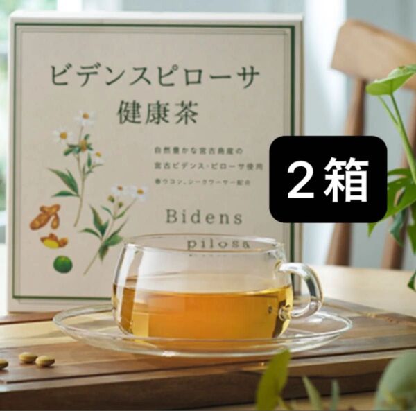 ビデンスピローサ健康茶2箱