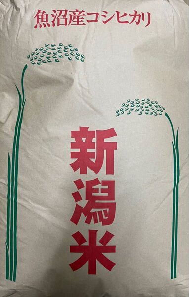 令和5年産 新潟県 魚沼産コシヒカリ 玄米 30kg