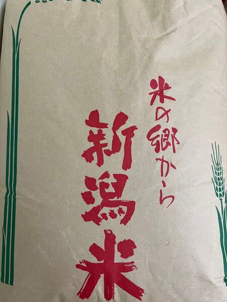 令和6年産 新潟県産コシヒカリ 30kg 玄米