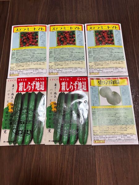 野菜の種 花の種 選べる 送料無料
