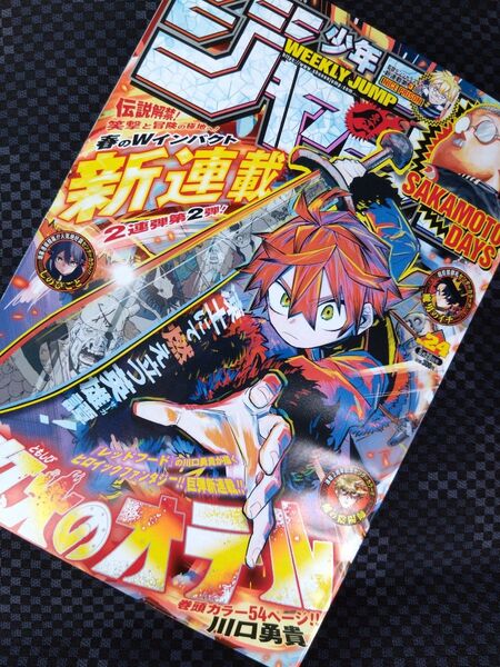 切り抜き無し 週刊少年ジャンプ 2025年 24号 ワンピース ONE PIECE 集英社