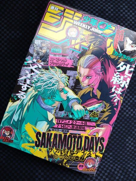 切り抜き無し 週刊少年ジャンプ 2025年 25号