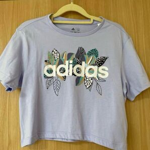 アディダス adidas レディース Tシャツ ミニ丈 チビT