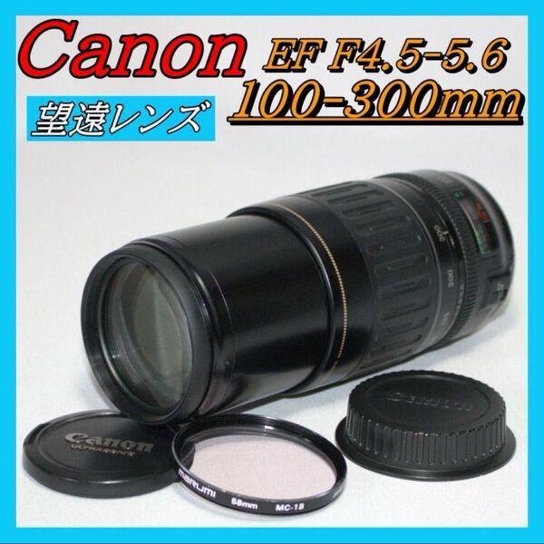 望遠レンズ Canon EF 100-300mm f:4-5.6 Canon キャノン カメラレンズ EF