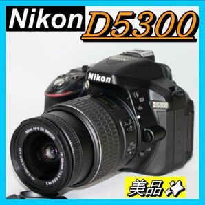 フルセット 超美品 Nikon D5300 S4620回 一眼レフ スマホ転送 デジタル一眼レフカメラ Nikon