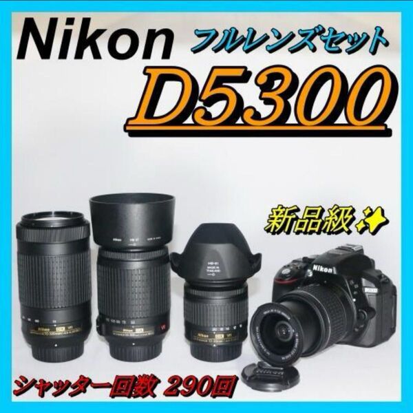 フルレンズセット 少シャッター数 Nikon D5300 ニコン 一眼レフ レンズ