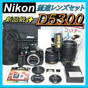美品 ショット290回 Nikon D5300 望遠Wレンズキット 一眼レフ 初心者 ニコン Nikon