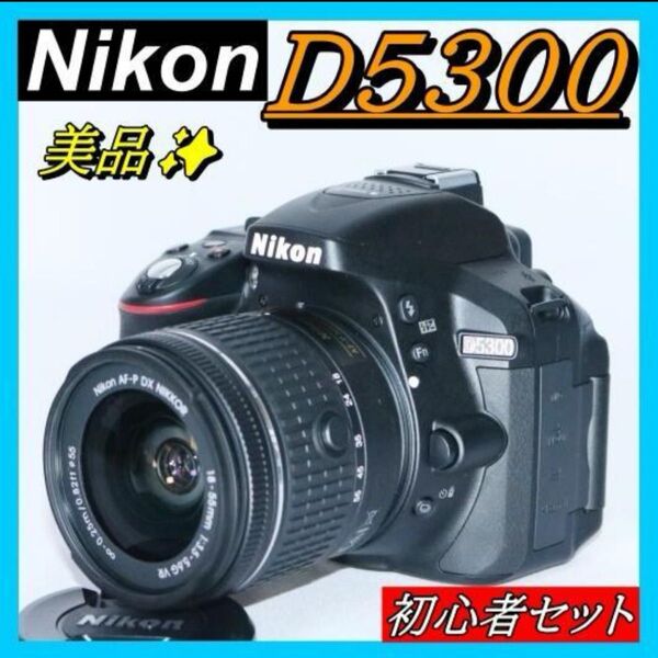 Nikon D5300 美品 簡単操作 一眼レフ シャッター回数少 初心者セット ニコン レンズ Nikon