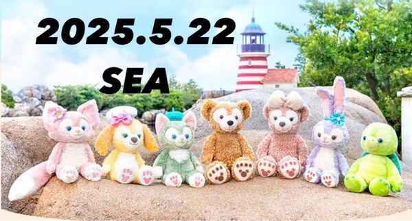 5/22disney sea ディズニーシー ショッピング枠 入園済
