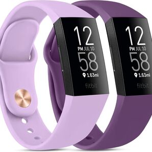 2パック ベルト コンパチブル Fitbit Charge 3 4 パープル