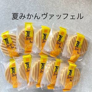 和菓子 兆雅せんべい 期間限定 夏みかんヴァッフェル