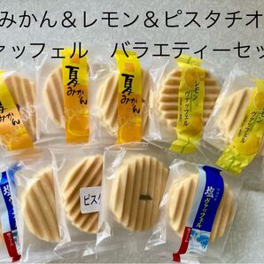 和菓子 兆雅せんべい 詰め合わせ 夏みかん&レモン&ピスタチオ&塩 ヴァッフェル 食べ比べ