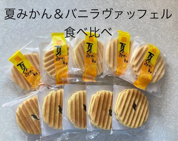 お菓子 和菓子 せんべい 食べ比べ 夏みかん&バニラヴァッフェル