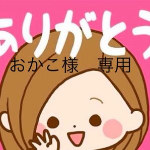 【おかこ様 専用】 抹茶&バニラ&苺ヴァッフェル せんべい 食べ比べ 詰め合わせ
