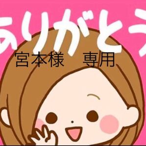 和菓子 せんべい 食べ比べ 塩&苺ヴァッフェル