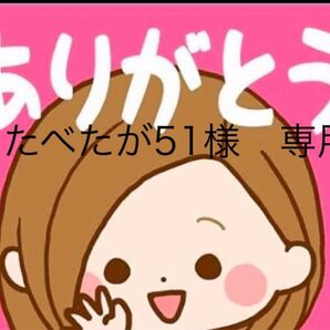 せんべい ヴァッフェル食べ比べ 夏みかん&レモン&ピスタチオ&抹茶