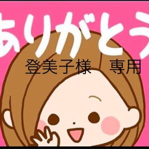 【登美子様 専用】お菓子 和菓子 せんべい バニラヴァッフェル