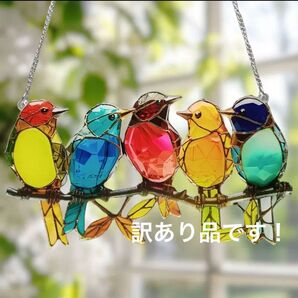 サンキャッチャー 小鳥 5羽 アクリルプレート 壁掛け 癒やし 風水 インテリア