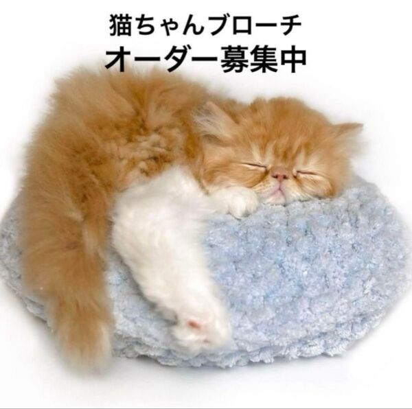 羊毛フェルト猫 猫ちゃんブローチ オーダー受付中!