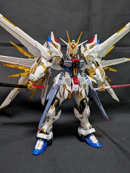 1/100 MGEX ストライクフリーダムガンダム&プラウドディフェンダー 完成品セット