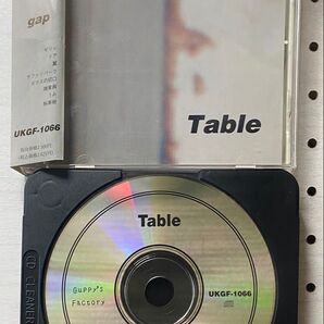 【新品購入品・国内盤・確認済】 TABLE 『 gap 』エモ ビヨンズ 90年代ジャパニーズ・オルタナティブ
