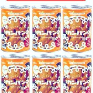 最終特価★早い者勝 災害備蓄食品 北陸製菓のカンパン 110g 10缶