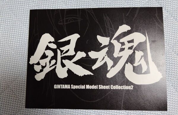 銀魂 アニメ特製設定資料 非売品 初回購入特典