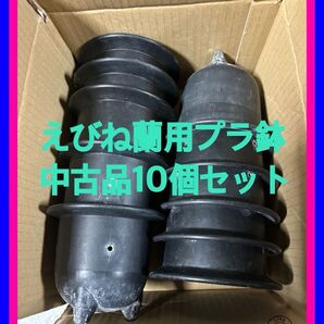 ☆えびね蘭用プラ鉢10個セット中古品にて多少汚れ傷ありですが未だ未だ使用可能です。丈夫で軽く使い易い水捌け抜群その他育苗にも超最適