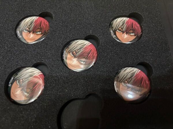 僕のヒーローアカデミア 応募者全員サービス ディスプレイ缶バッジ 轟焦凍