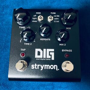Strymon DIG Midnight with Mini switch
