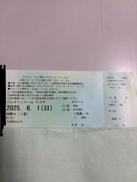 中日ドラゴンズ 対 巨人戦 チケット 2025/6/1 内野A