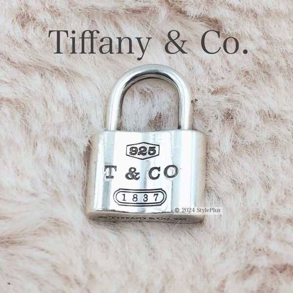 ティファニー Tiffany & Co. ネックレス トップ カデナ シルバー