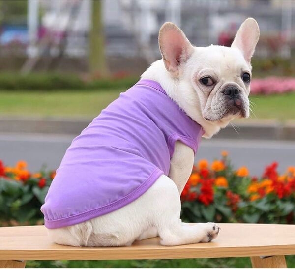 犬服 犬の服 ペット服 犬 服 綿製Tシャツ 夏 ランニングシャツ 袖なし 春 防寒 マルチカラー 吸水 速乾 パープル M