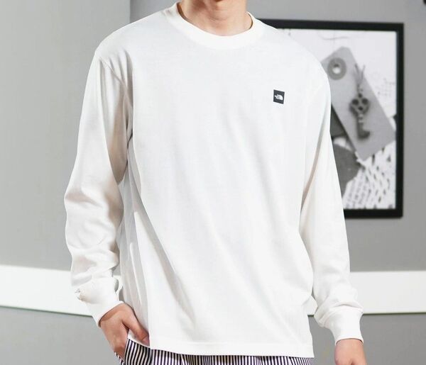 THE NORTH FACE ザ・ノース・フェイス 長袖 Tシャツ メンズ ロンT ロングスリーブスモールボックスロゴティー XL