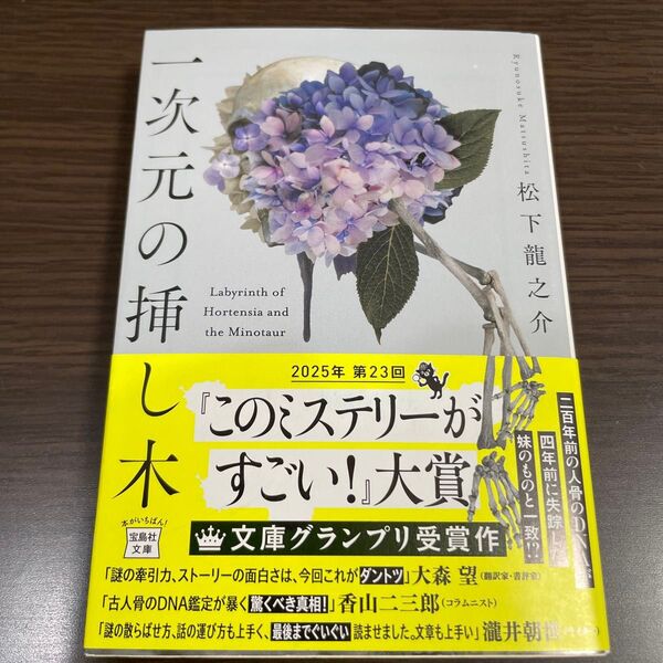 一次元の挿し木 (宝島社文庫 Cま-5-1 このミス大賞) 松下龍之介/著