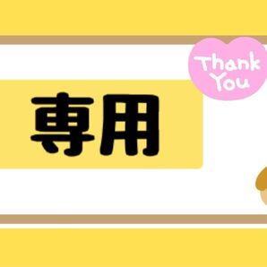 専用ページ